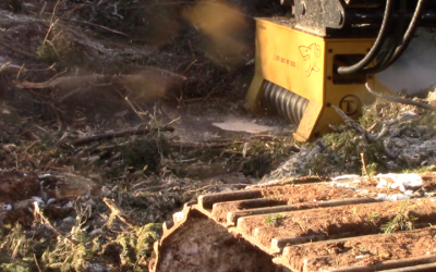 When an Excavator Mulcher Will Make Your Life Easier